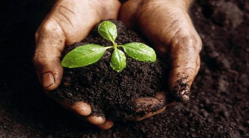 Agroecologia, Gastronomia e Salute&hellip; scopriamo i temi della conferenza #FuturiSolidali di Domenica mattina