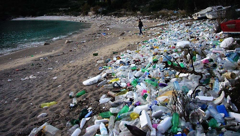 #futurisolidali Dal rifiuto alla risorsa, l&rsquo;impronta ecologica dei nostri consumi