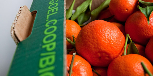 GOEL BIO: i frutti che riscattano la Calabria