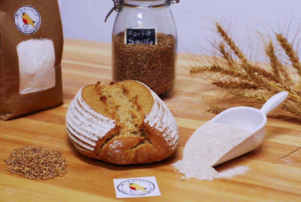 Una cena 100% biologica e gustosa grazie a L&rsquo;ORTO DI LUCIA e BIOGOLD